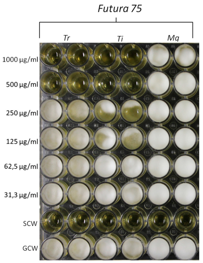 Figure 11