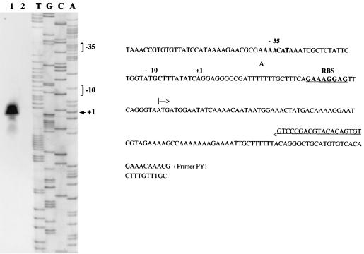 FIG. 7