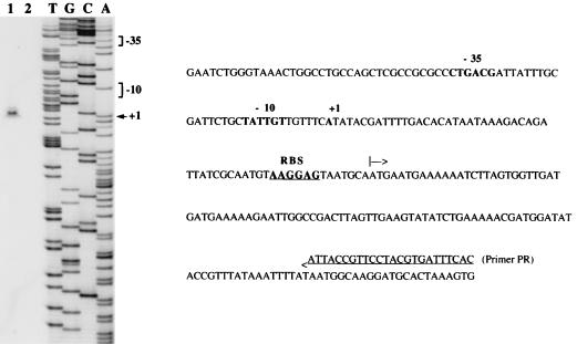 FIG. 6