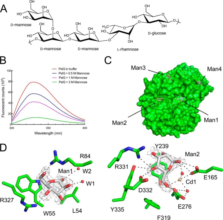 FIGURE 5.