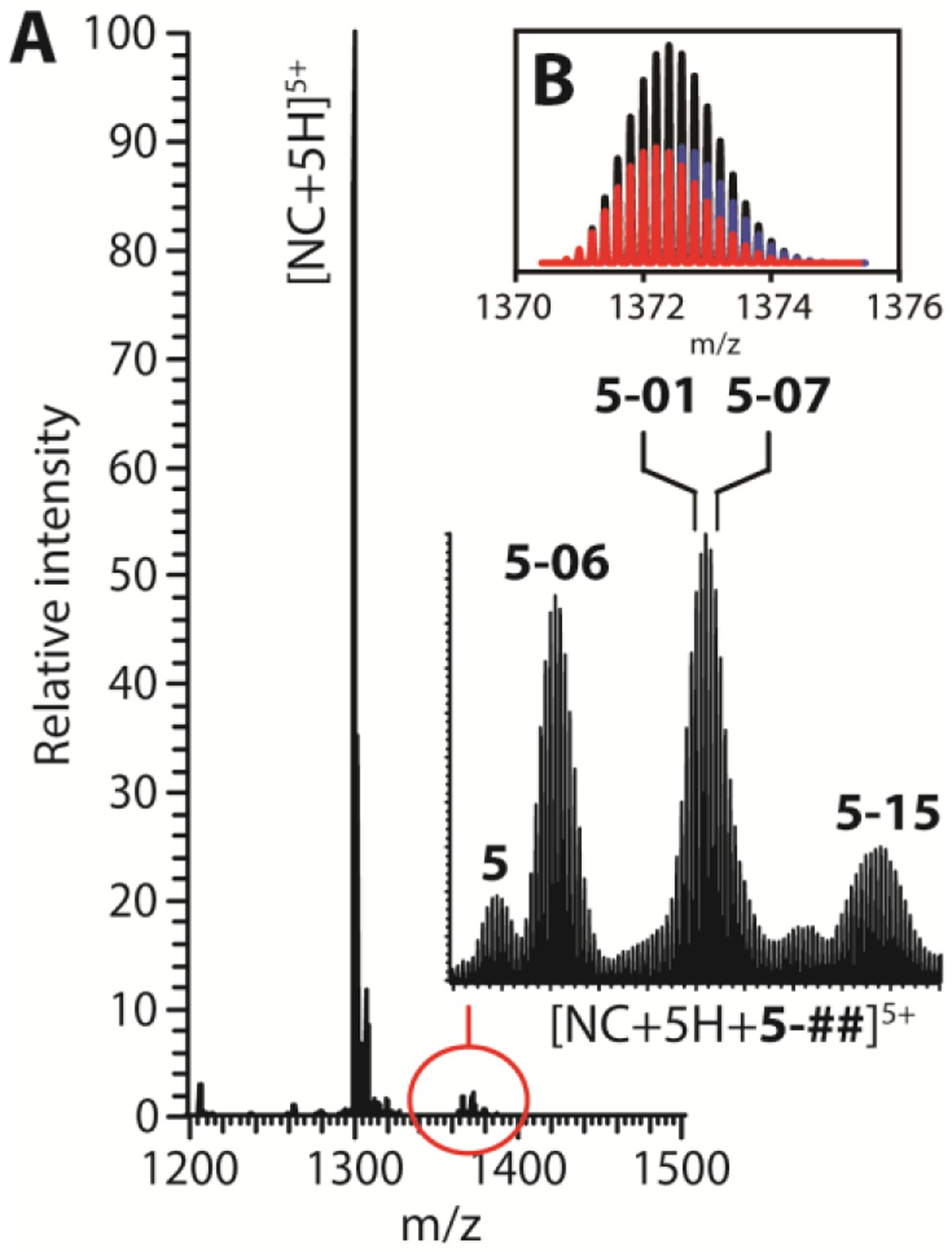 Figure 5.