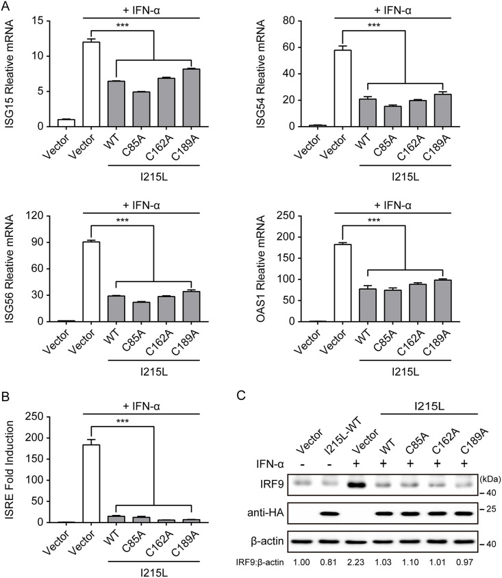 FIG 3