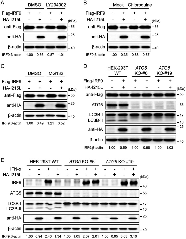 FIG 4