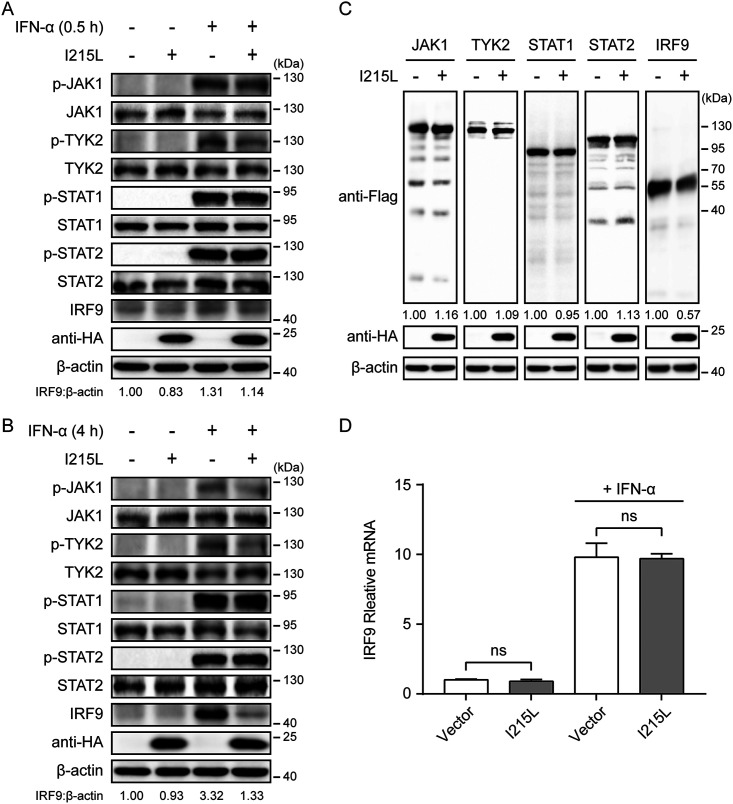 FIG 2