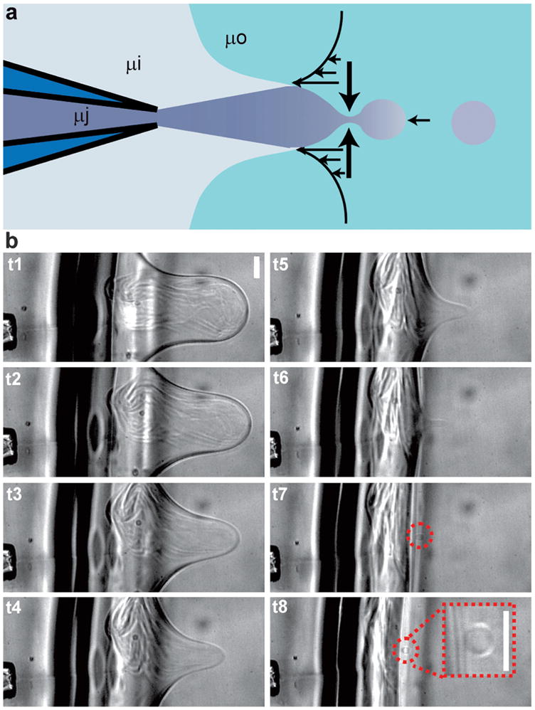 Fig. 3