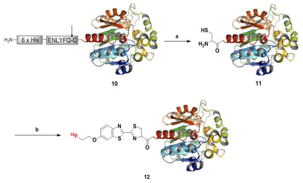 Scheme 3