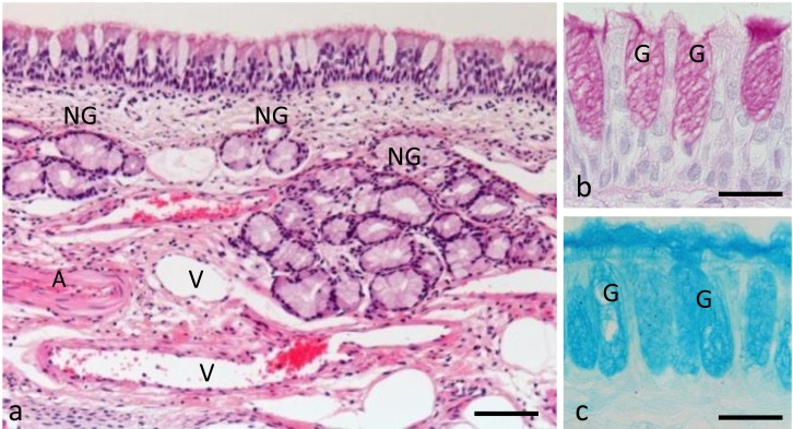 Fig. 3.