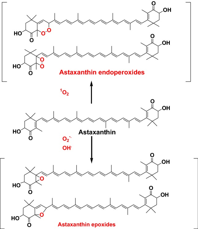 Fig. 15