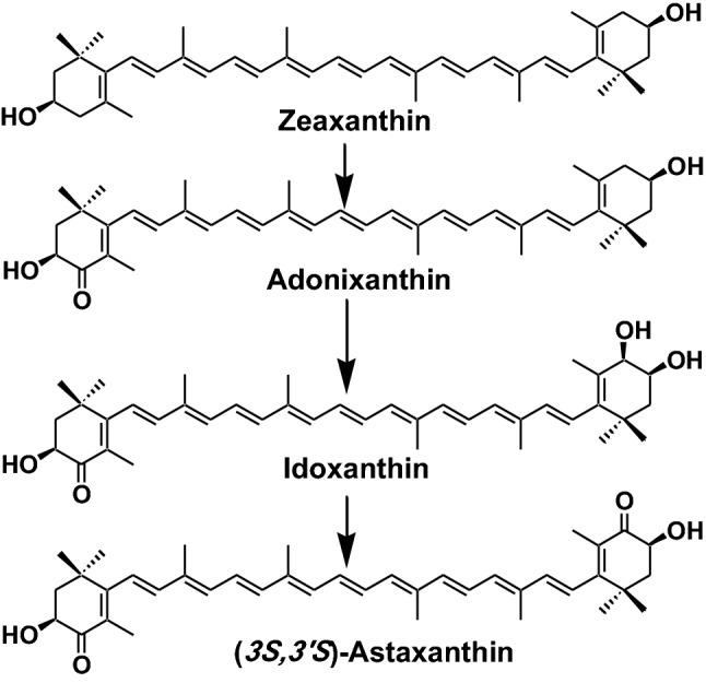 Fig. 8