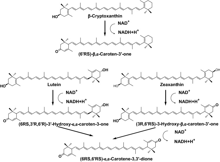 Fig. 13