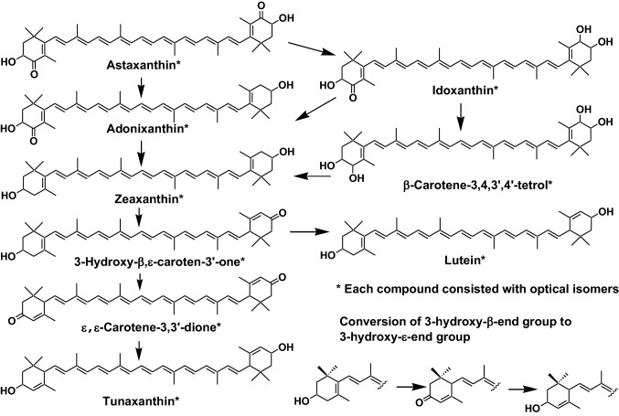 Fig. 9