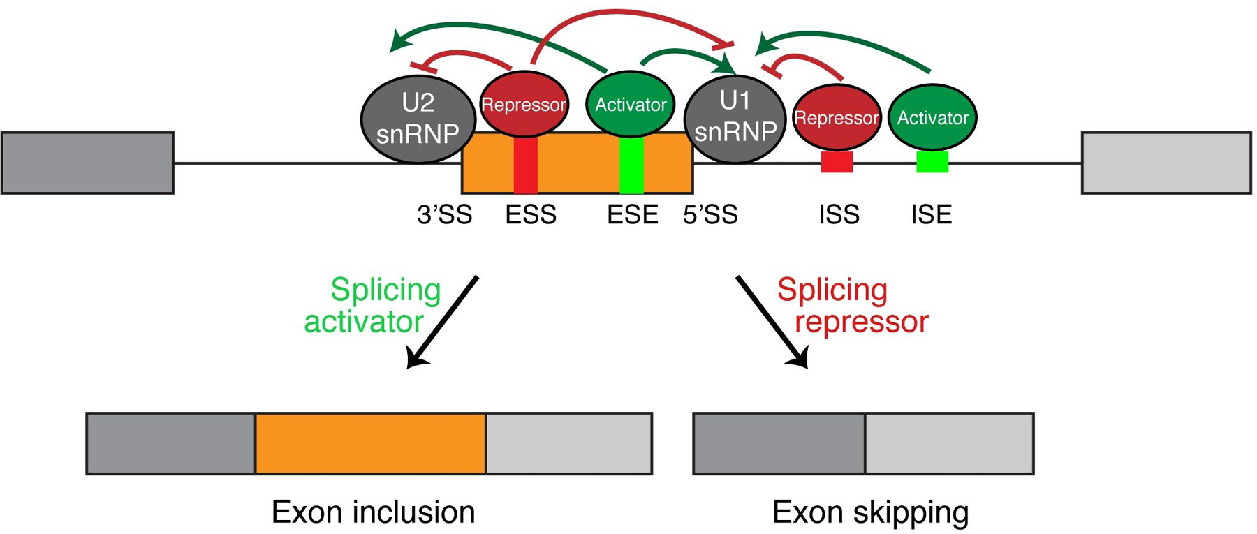 Fig 3.