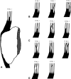 Fig. 1A–D