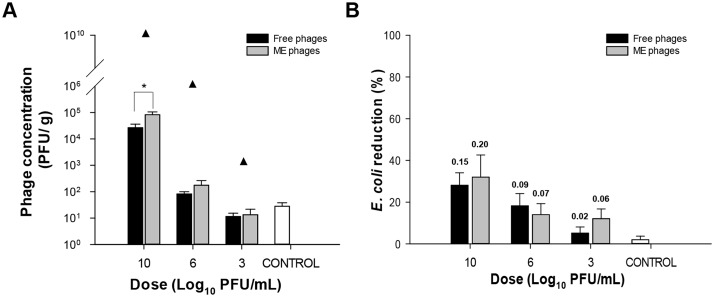 Fig 5