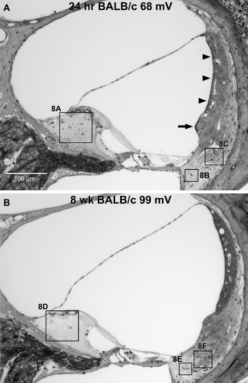 FIG. 7.