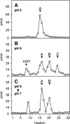 FIGURE 3.