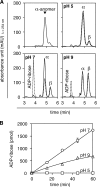 FIGURE 7.