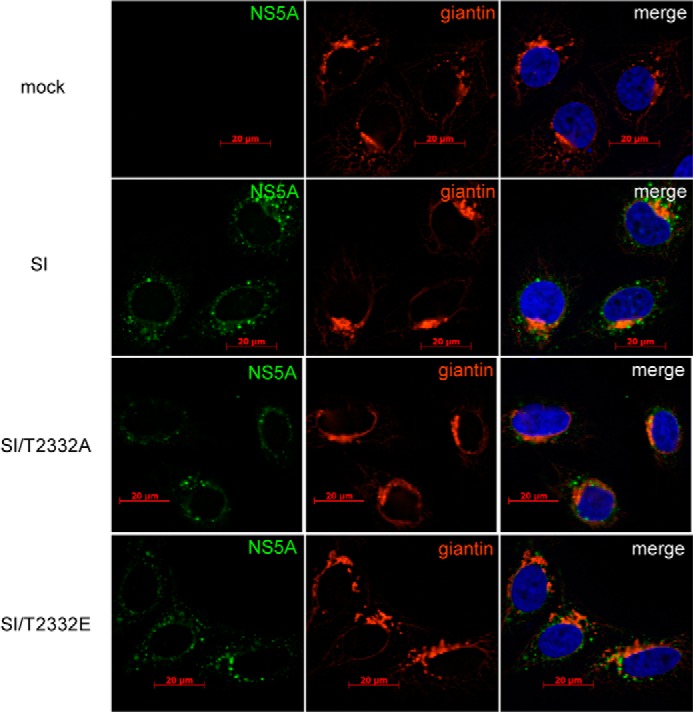 FIGURE 13.