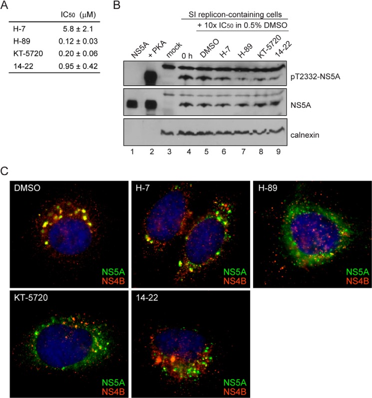 FIGURE 11.