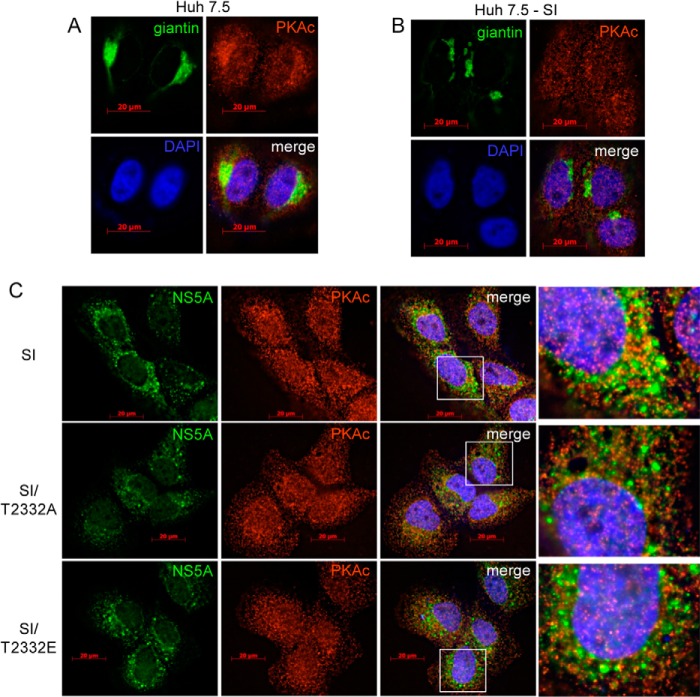 FIGURE 12.