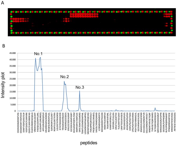 Fig 3