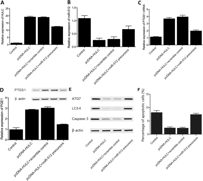 Fig.7