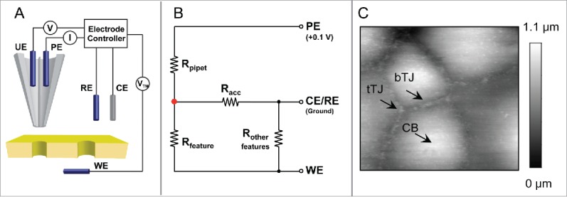 Figure 3.