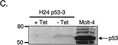 FIG. 5