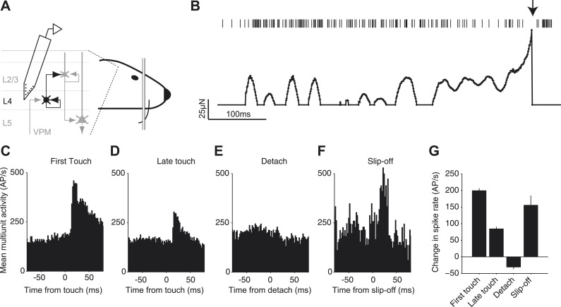 Figure 7.