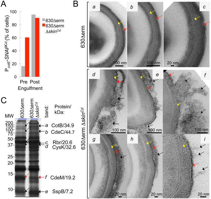 Fig 8