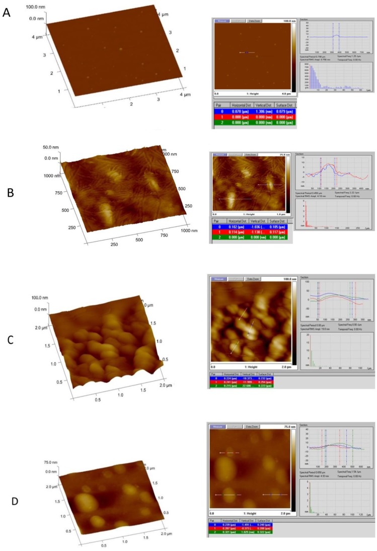 Figure 10