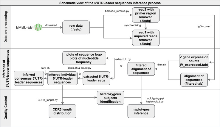 Figure 1