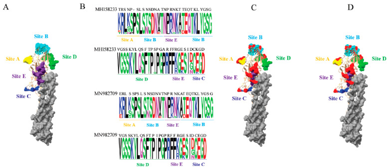 Figure 6