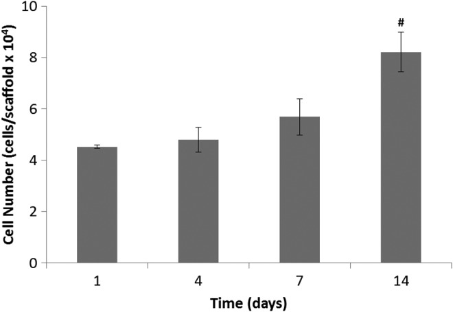 FIG. 1.