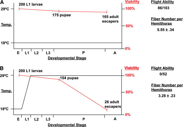 Figure 3.—