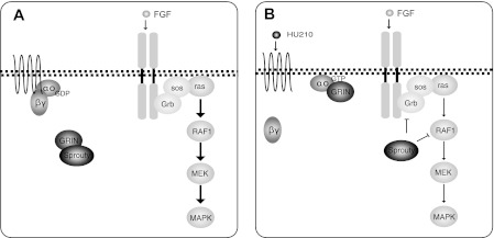 FIGURE 9.