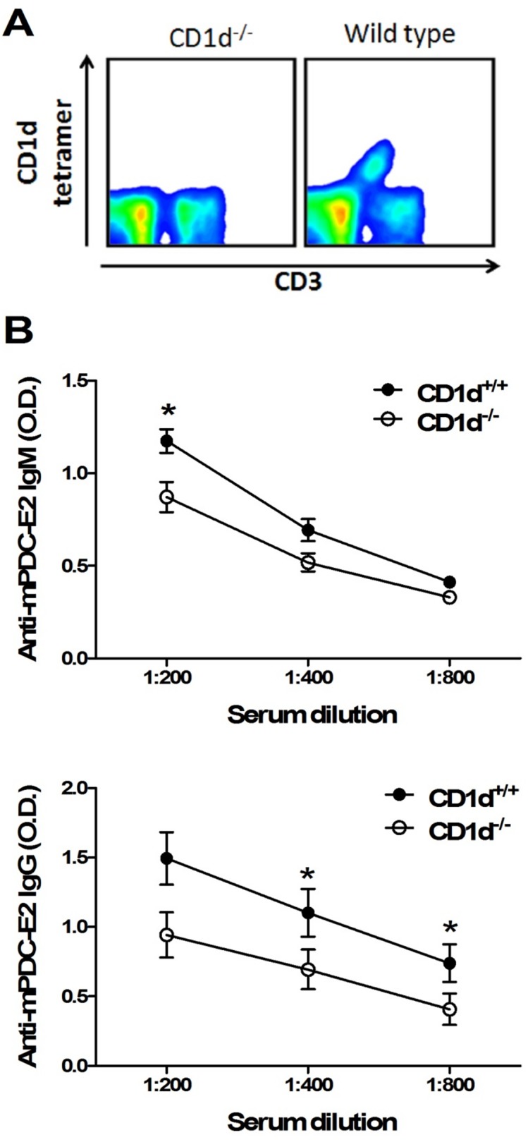 Fig 5