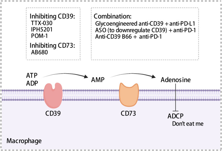 Figure 5