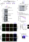 Figure 6