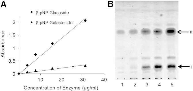 Fig. 5.