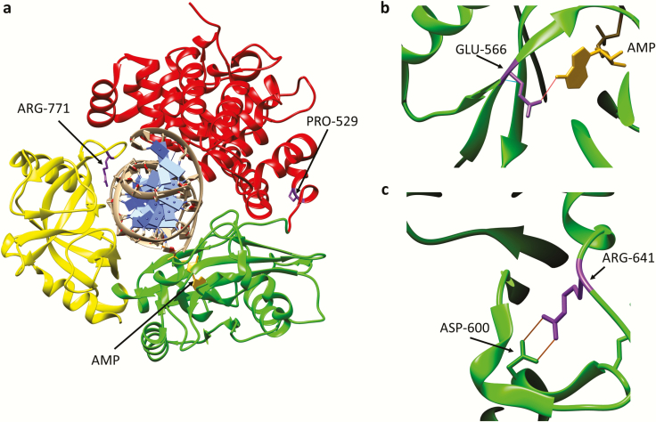 Fig. 3.