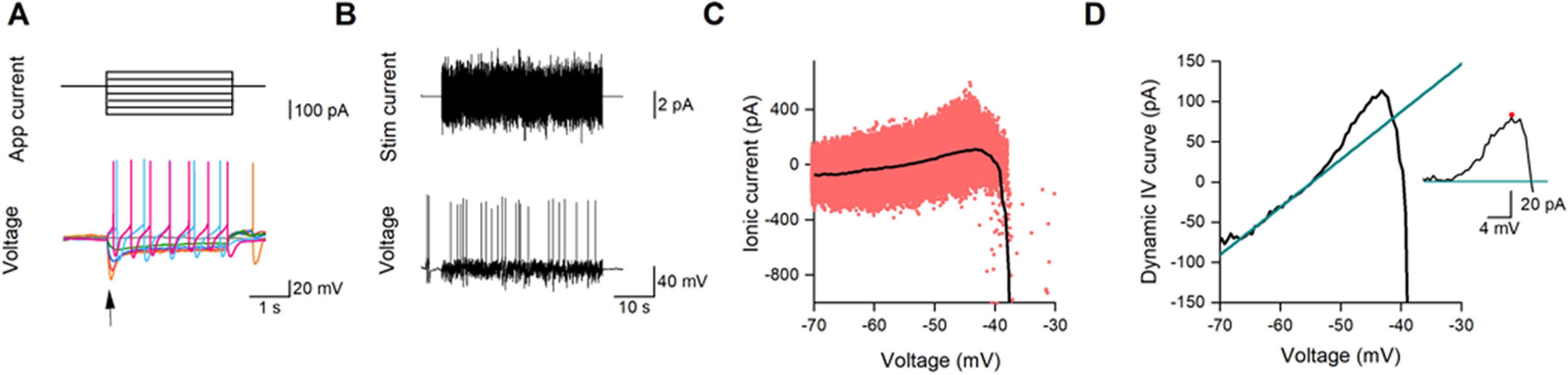 Figure 2.