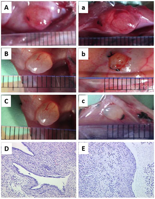 Figure 12.