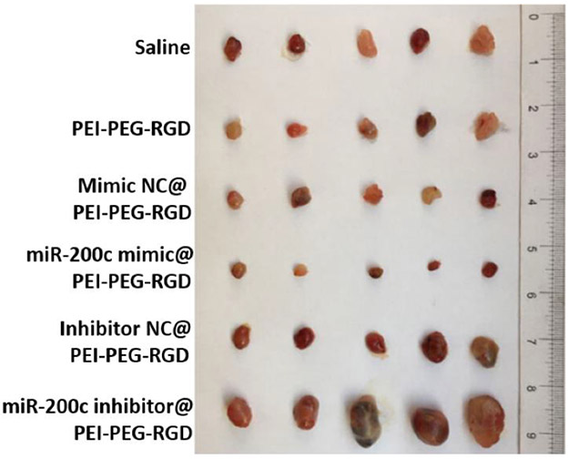 Figure 14.