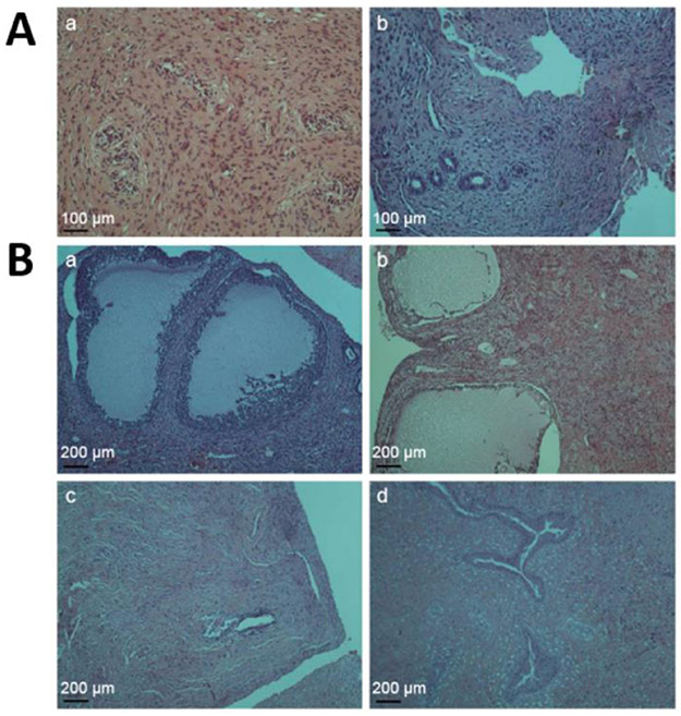 Figure 13.