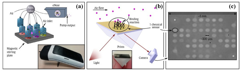 Figure 12