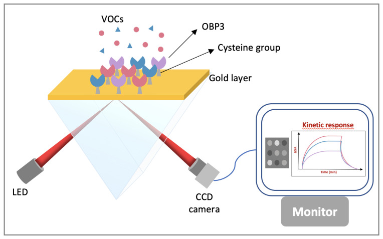 Figure 10