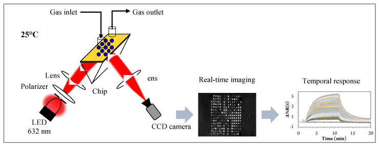 Figure 11