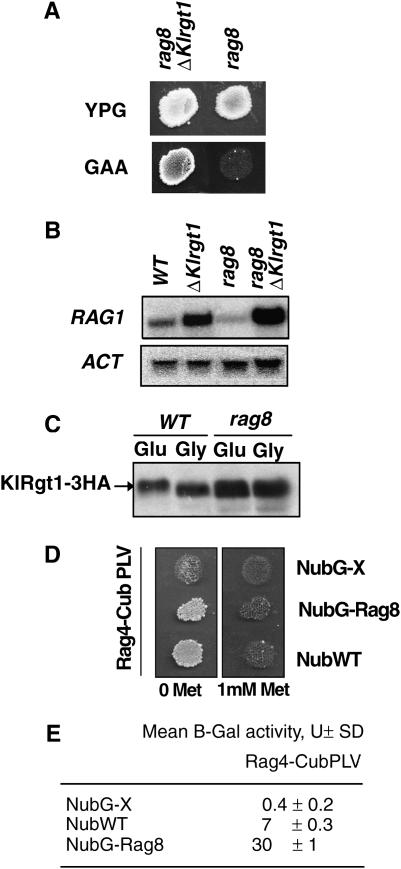 Figure 7.—