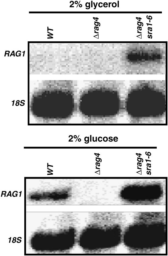 Figure 2.—